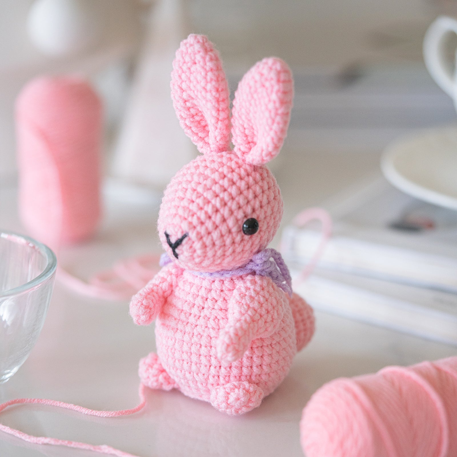 Rabbits Amigurumi DIY Crochet Kit Wizardi F07N8-M172