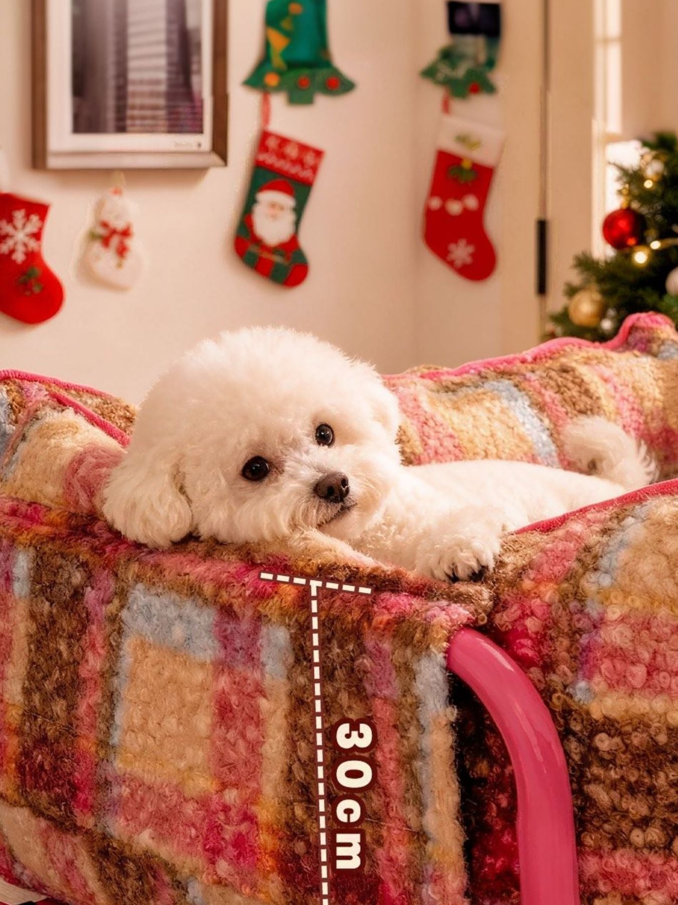 1dda1169-87b7-42be-bdbd-1062dbe2a1a7-Max