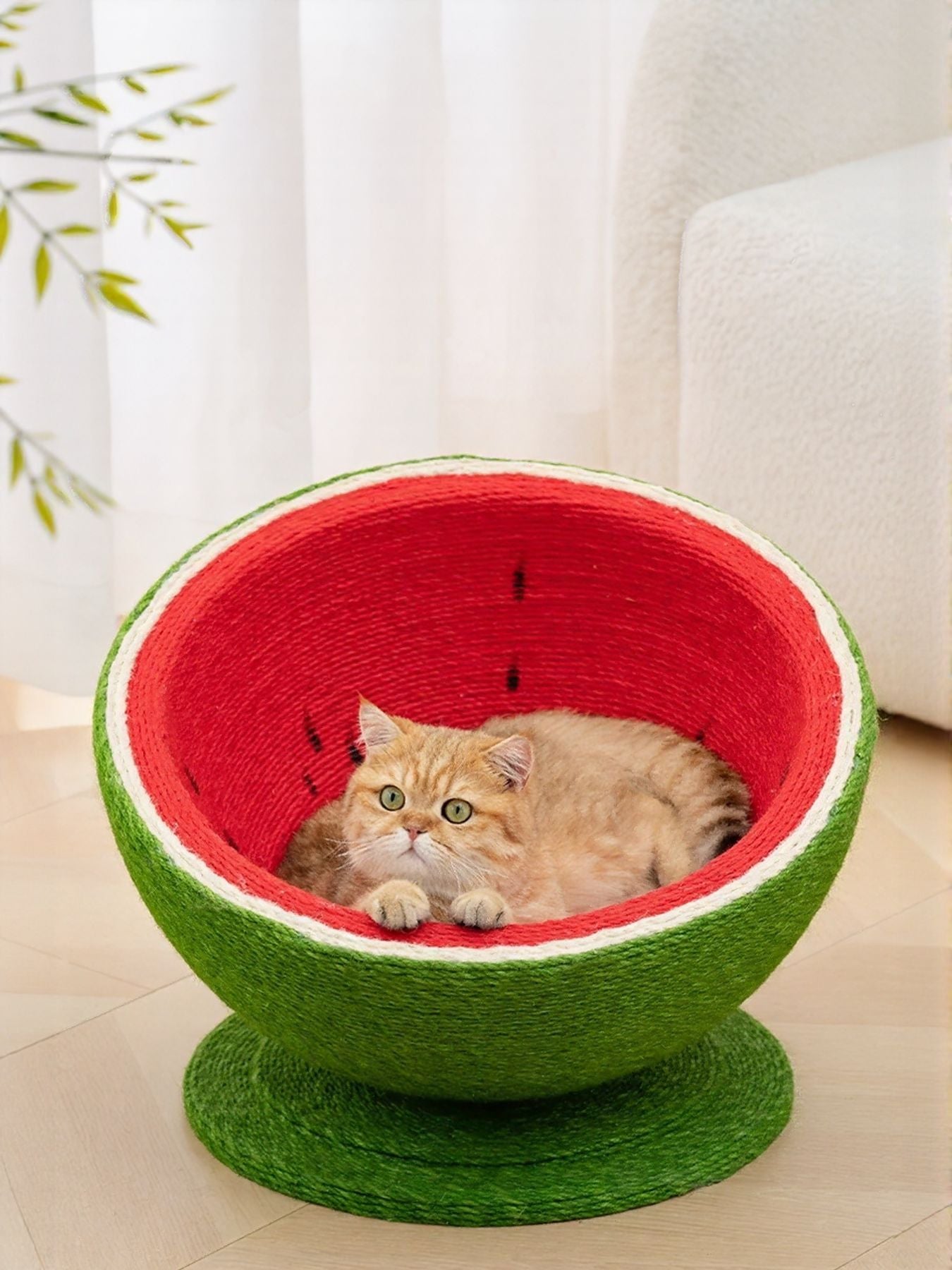 21a4128f-dfe0-4d03-b607-686fb312df36-Max