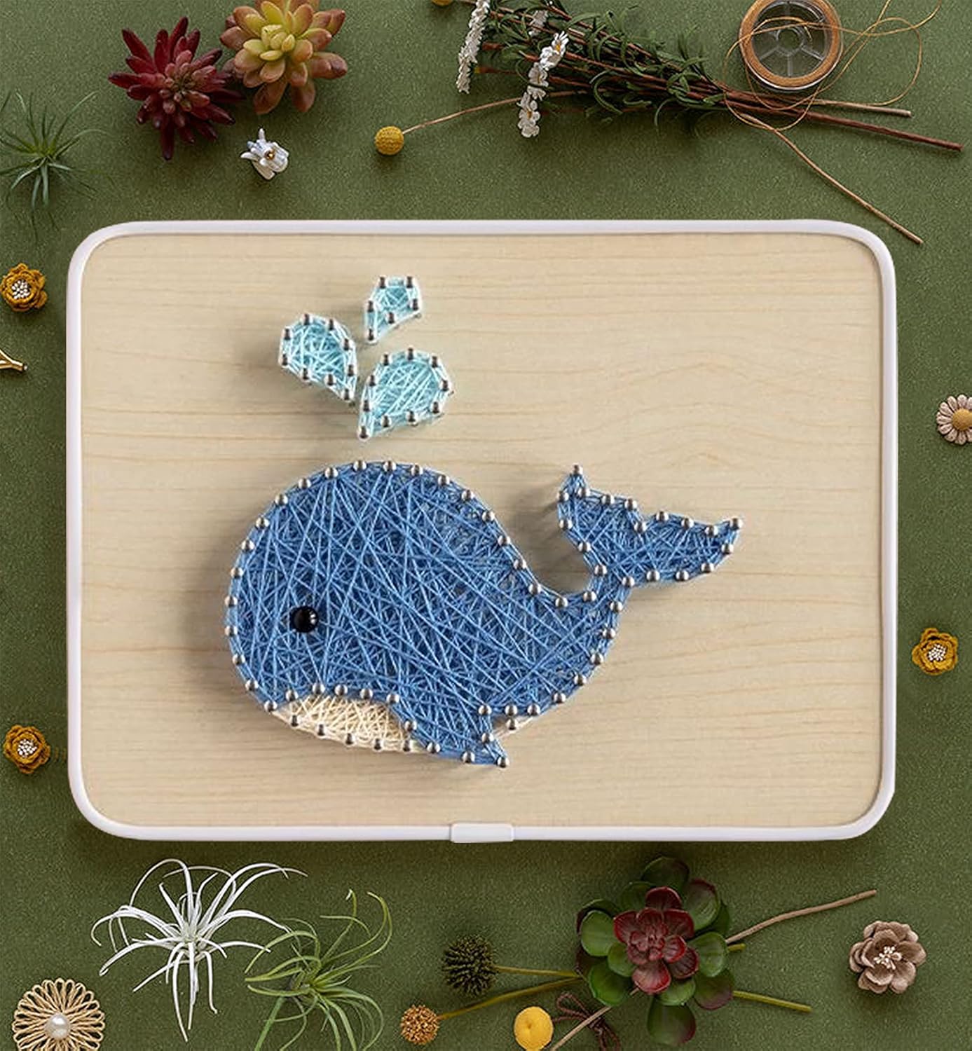 String Art DIY Kit - Whale