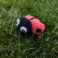 DIY Crochet Kit Ladybug