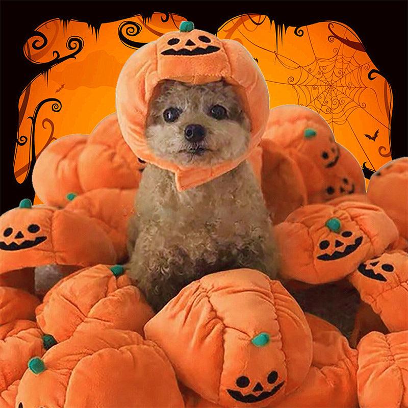 Funny Pumpkin Pet Hat